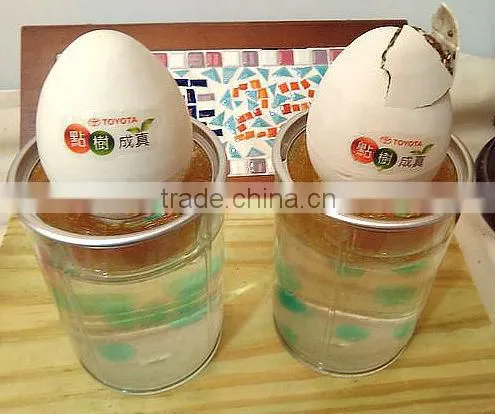 Toyota Crack Self Egg.Magic Bean.Magic Egg photo-2