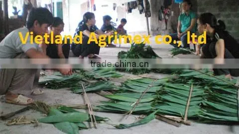 Dry Big Size Bamboo Leaves photo-5