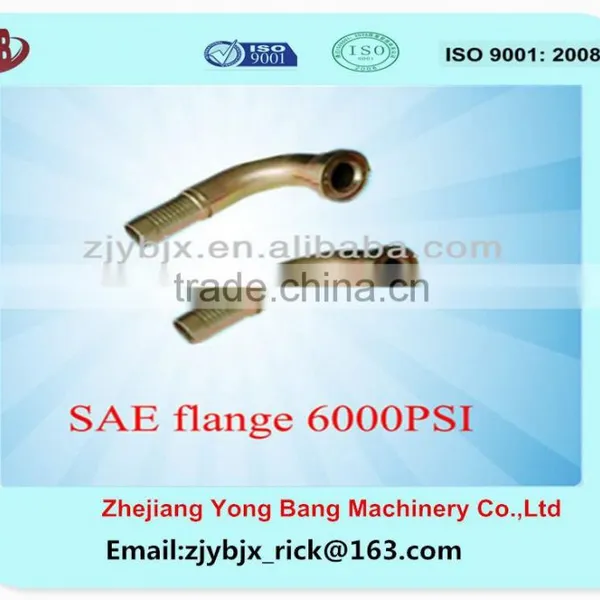 Hydraulic Pipe Fittings/SAE 6000 PSI Flange