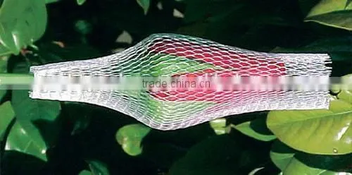Plastic Flower Bud Net for Flowers photo-5
