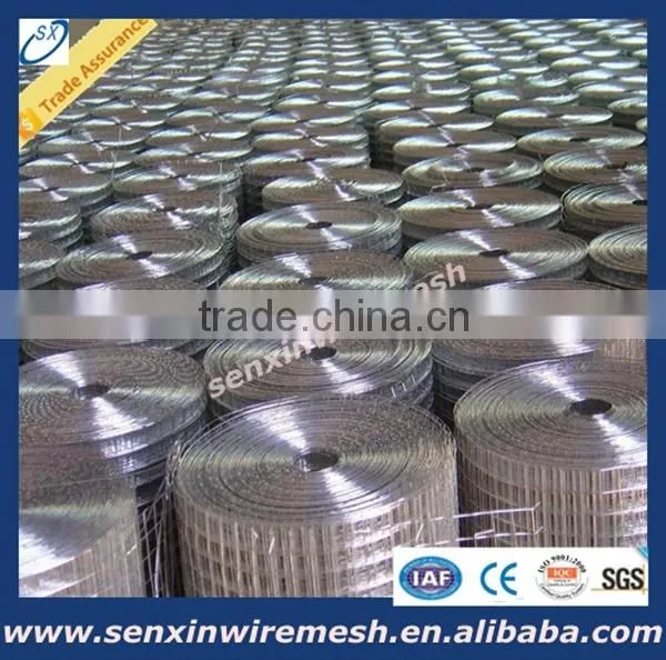 China Manufacturer Galvanized Welded Wire Mesh Panel or Roll , Pvc Coated Welded Wire Mesh photo-4