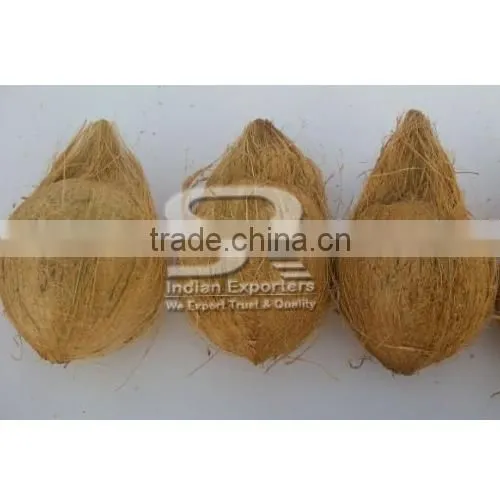 Oraganic Semi Husked Coconuts photo-6