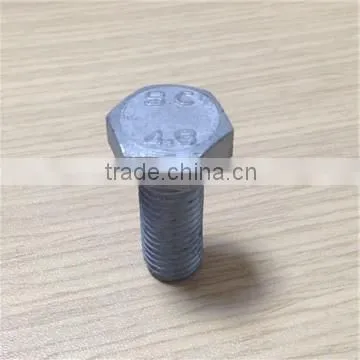 High Quality Hot Dip Galvanized Bolt photo-4