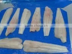 Frozen Pacific Hake Fillet