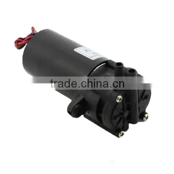 Mini Size DC Gear Pump 12V/Mini Gear Pump photo-3