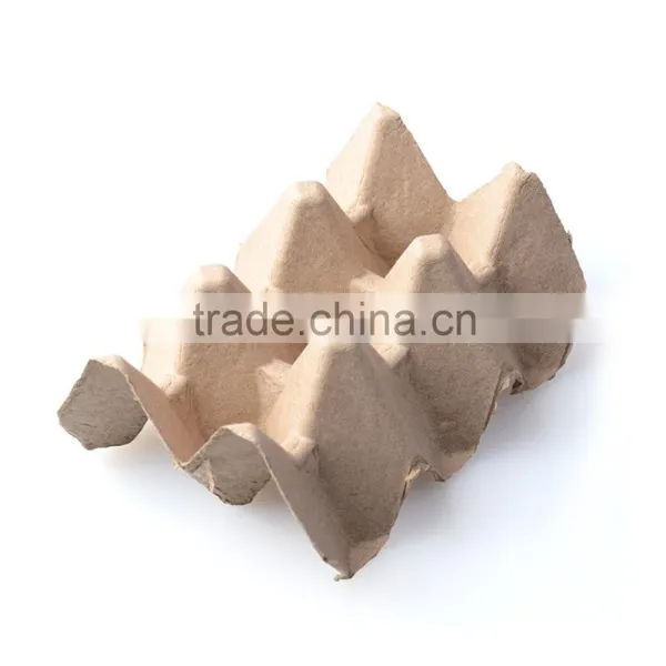Pulp Moulding Tray and Egg Box/paper Pulp Egg Tray photo-4