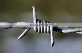 High Quality Barbed Wire photo-5