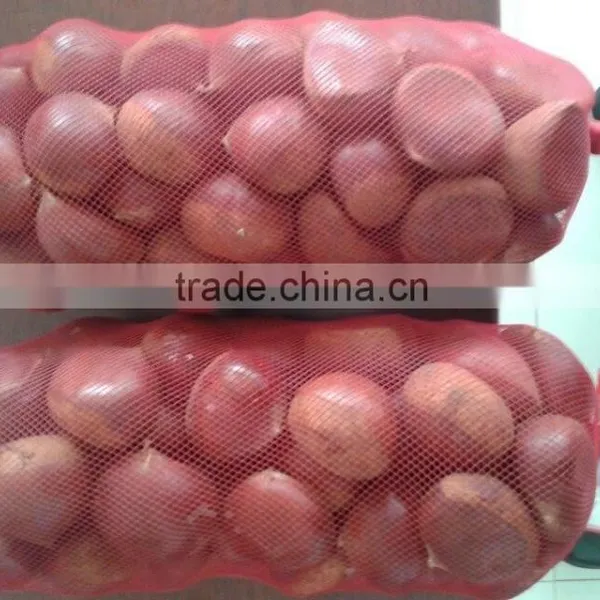 40-50, 50LB Gunny Bag Chinese Fresh Chestnuts Wholesale Chestnuts for Canada
