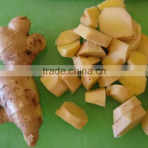 VIETNAM OLD FRESH GINGER SUPPLIER COMPETITIVE PRICE photo-4