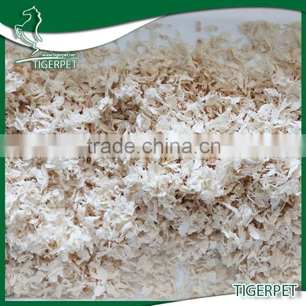 High Quality Wood Sawdust Pine Sawdust photo-2