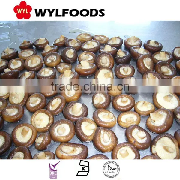 China Market Selling!Frozen IQF Shiitake Mushroom Export From China Good Prices Best Quality photo-6