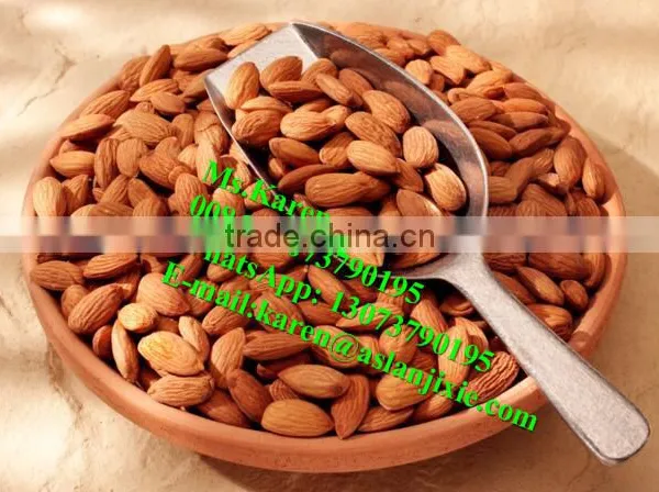 Almond Shell Removal Machine /almond Sheller/almond Shelling Machine photo-5