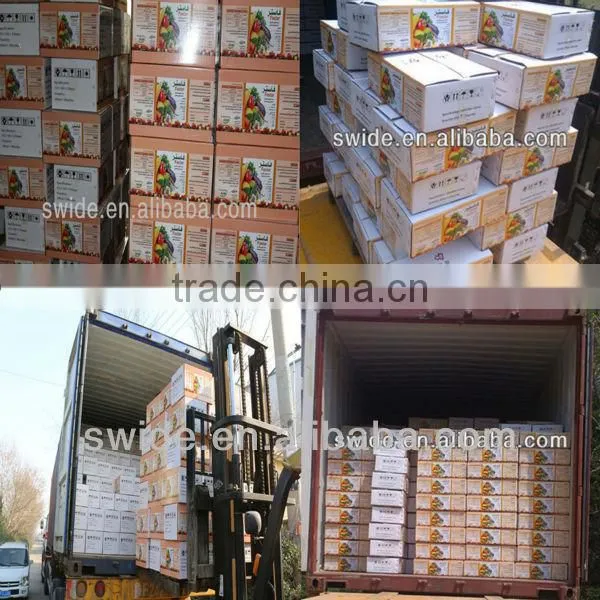 NPK Water Soluble Fertilizer photo-3