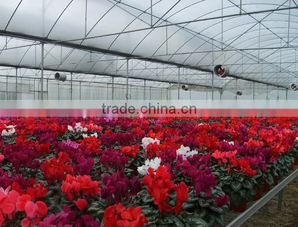 Garden House Galvanized Seedbed Benches
