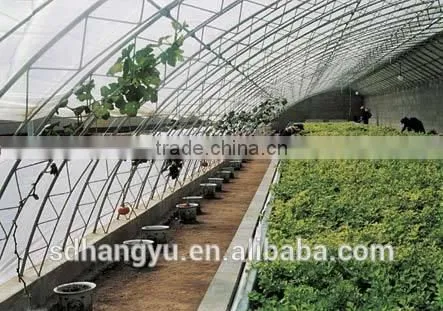 High Quality Mushroom Commercial Greenhouse photo-3