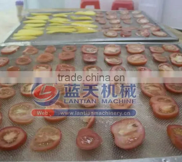 Hot Sale High Quality Dried Mango Processing Machine Drying Mango Dehydrator,Onion Drying Machine photo-2