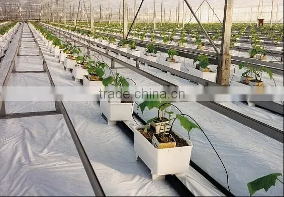 Hydroponics Greenhouse Multi Span Poly Film/PC Sheet photo-2