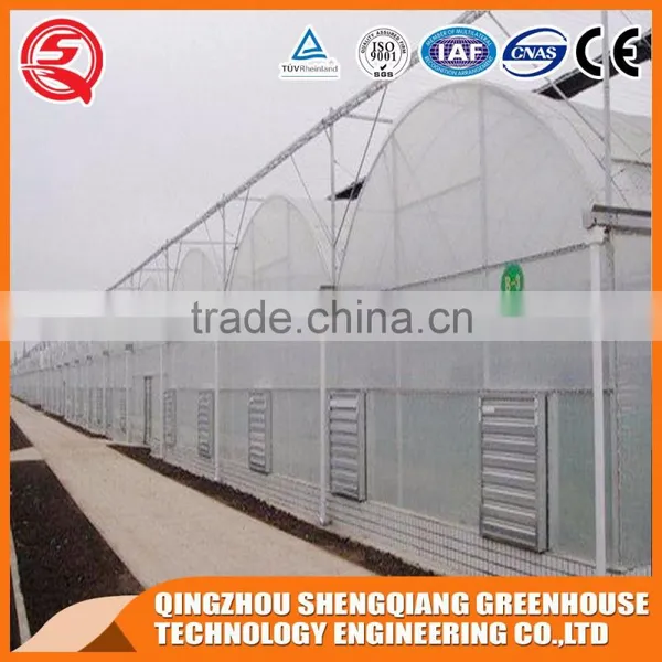 China Direct Plastic Greenhouse for Agricultural Farming photo-6