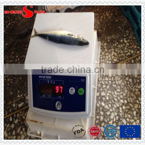 High Quality Frozen Whole Mackerel photo-6