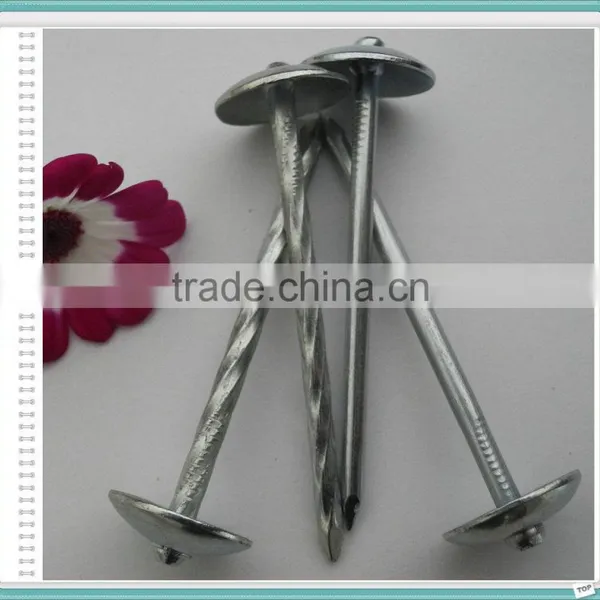 Umbrella Roofing Nails With Gunny Bag Packing photo-5