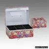 Cash Case C-150MP