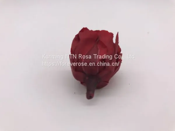 Factory Supply Wholesale A GRADE Best Quality China Preserved Roses photo-4