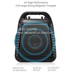 S90 Voice Amplifier photo-2