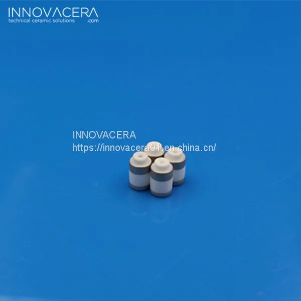 Metallized Ceramic Tube photo-4