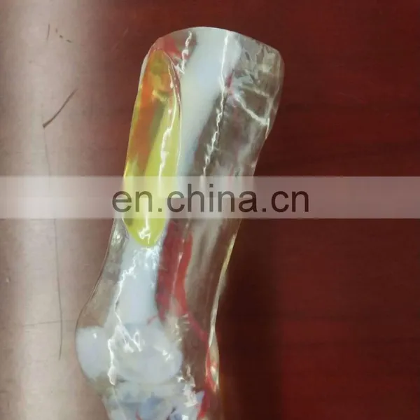 Surgical Training Manikin MJP 3D Printing Color Organ Model photo-3
