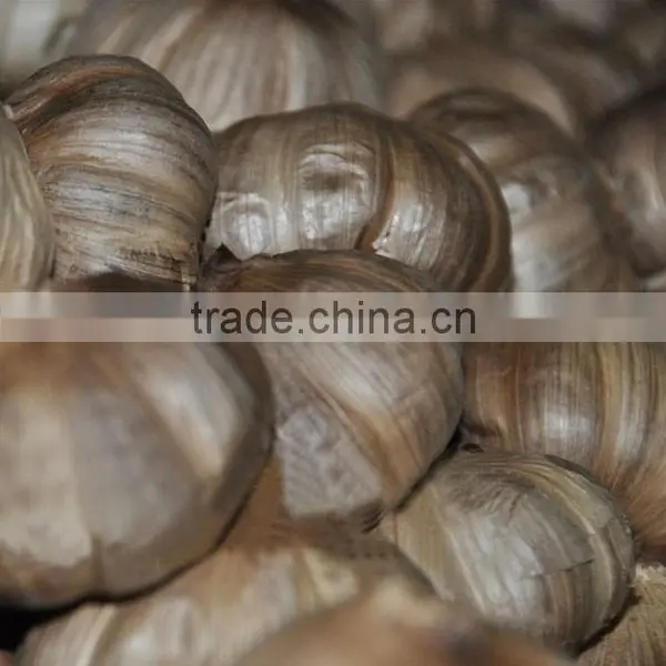 Black Garlic photo-5