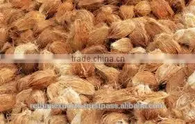 Fresh Vegetables and Fruits in Organic