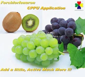 Plant Hormone Cppu Forchlorfenuron 1%sp for Grape photo-3