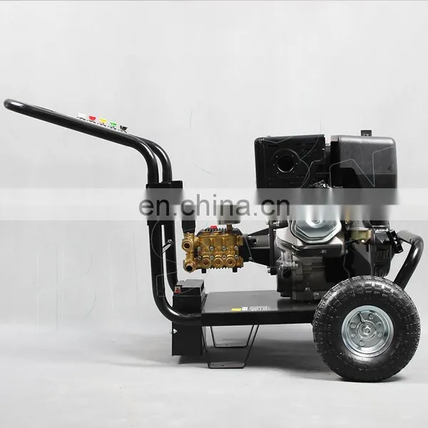 BISON China 3600psi 250 Bar Gas Powered Pressure Washing Machine photo-4