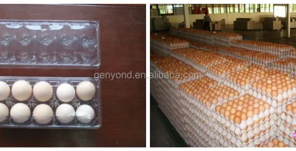 Full Automatic 8000 Pieces Per Hour Egg Washing Separation Machine Production Line photo-5