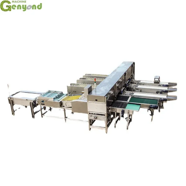 Egg Washing Grading Packing Equipment Egg Grading Printing Machine With Vacuum Egg Lifter