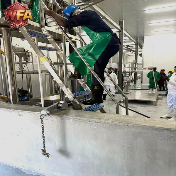 Custom Made 304 Stainless Cow Slaughter System Suited For Commercial Beef Factories photo-5