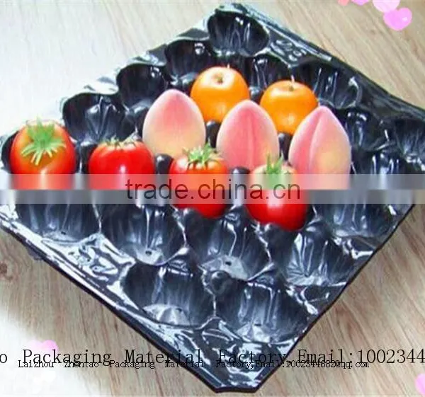 Professional Manufacture Fruit Packaging Tray With Holes Cup Holder photo-6