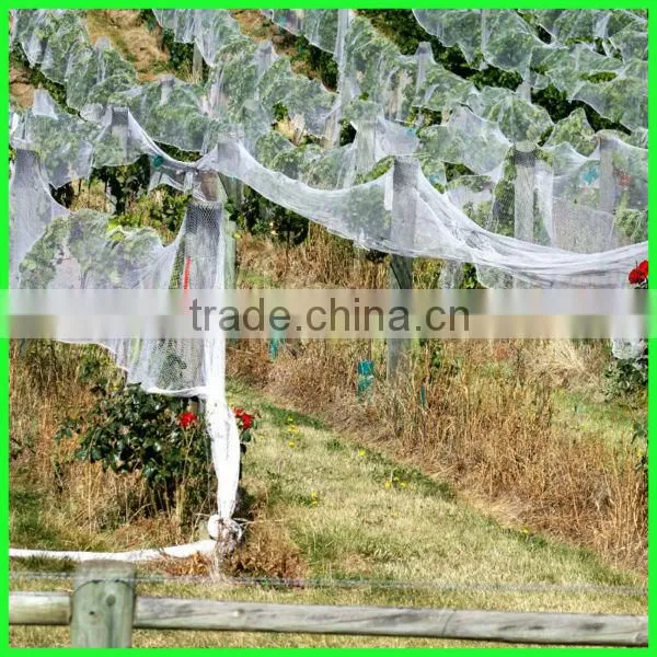 High Strength HDPE Extruded Fruits Protective Bird Netting photo-6