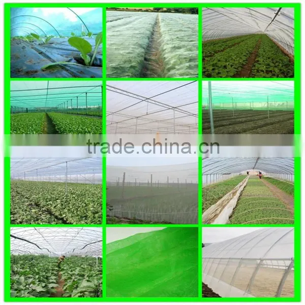 Suntex HDPE Anti Insect Net Heat Resistant Plastic Mesh photo-2