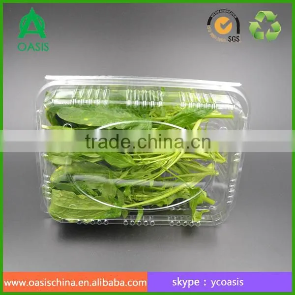 Plastic Clear Fruit Vegetable Packaging Box photo-6