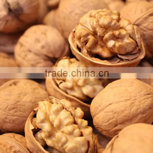 Chinese Good Quality Juglans Regia for Wholesale to Many Country photo-4