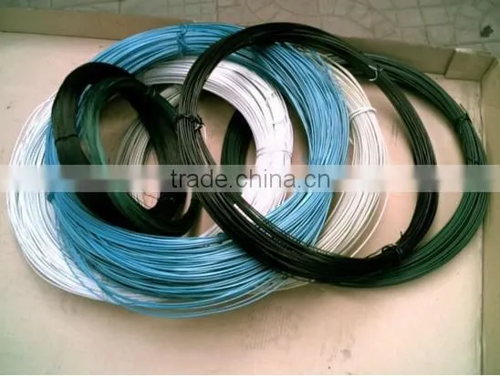 Gold Supplier Low Price Electro Galvanized Iron Wire photo-3