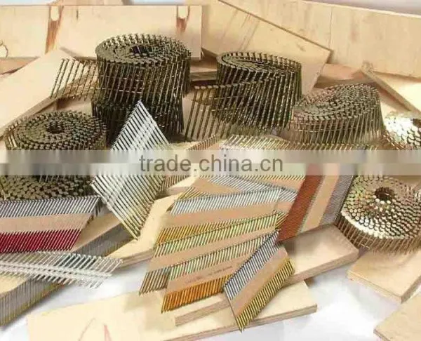 Hot Sale 1 1 4 Coil Roofing Nail for Sale Manufacture in China photo-3