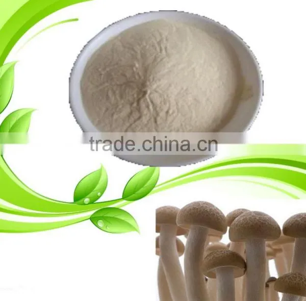 Kosher Fungal Chitosan photo-3