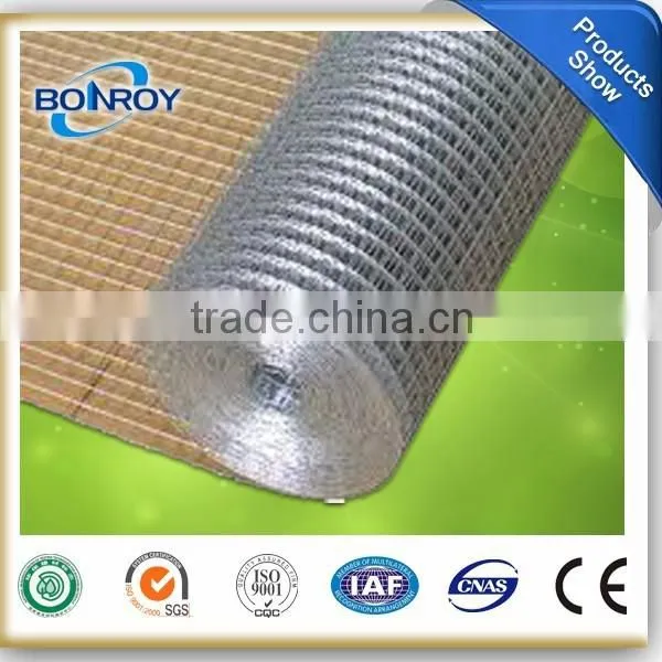 Galvanized Welded Wire Mesh