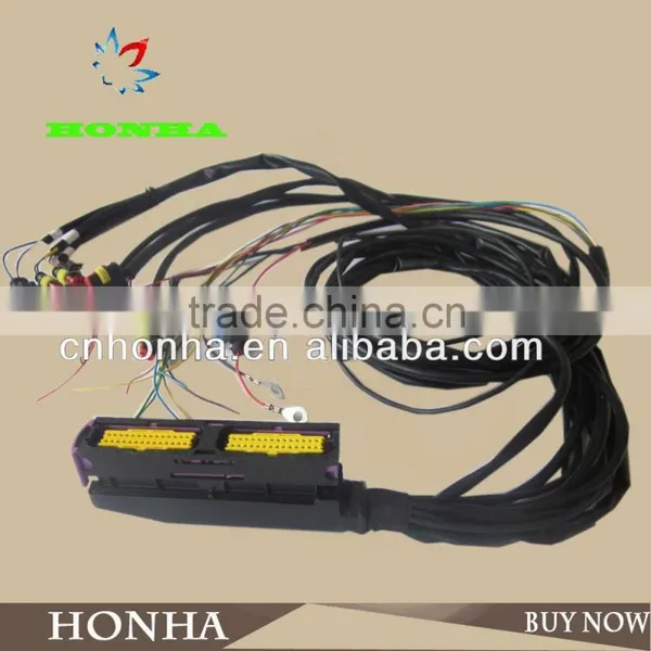 Automotive Wire Harness Loom ECU, ECU Plugs Line
