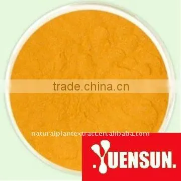 Curcumin 95% 98% by HPLC