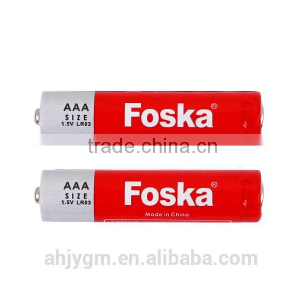 Hot Sale FOSKA AAA Battery photo-2