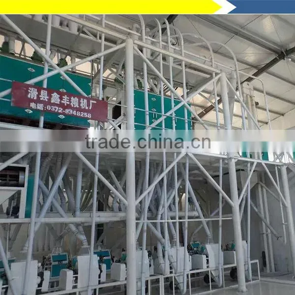 300 TPD cassava starch processing machine in Africa
