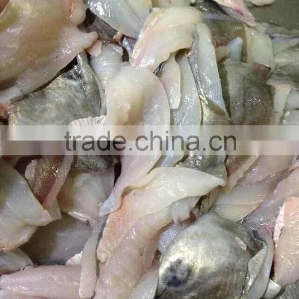 2016 Hot Top Frozen John Dory Fillet Foe Sale photo-3